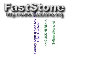 Flexispy Free Alternative